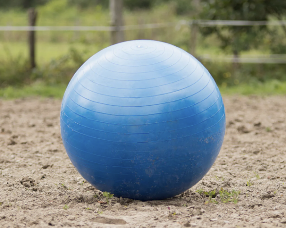 Ballon De Jeu Pour Chevaux Jolly Horse Dual Bleu – 20 Cm, Robuste Et Durable