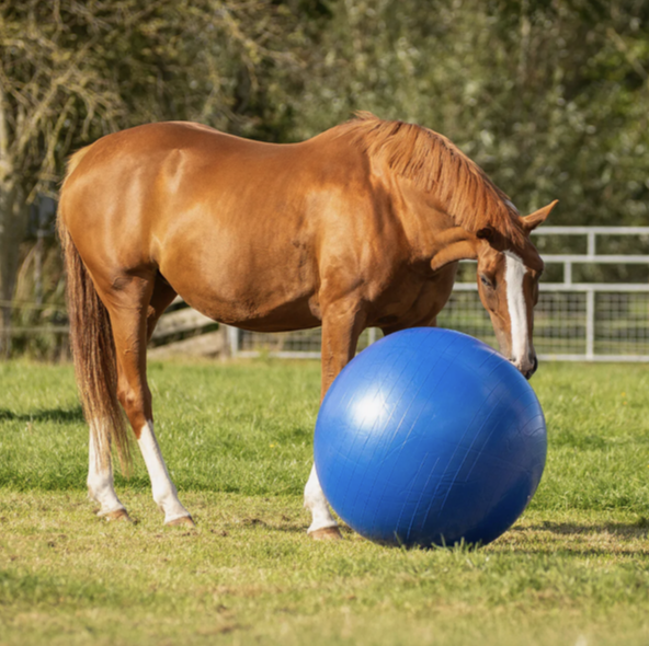 ballon-qhp-jeu-2
