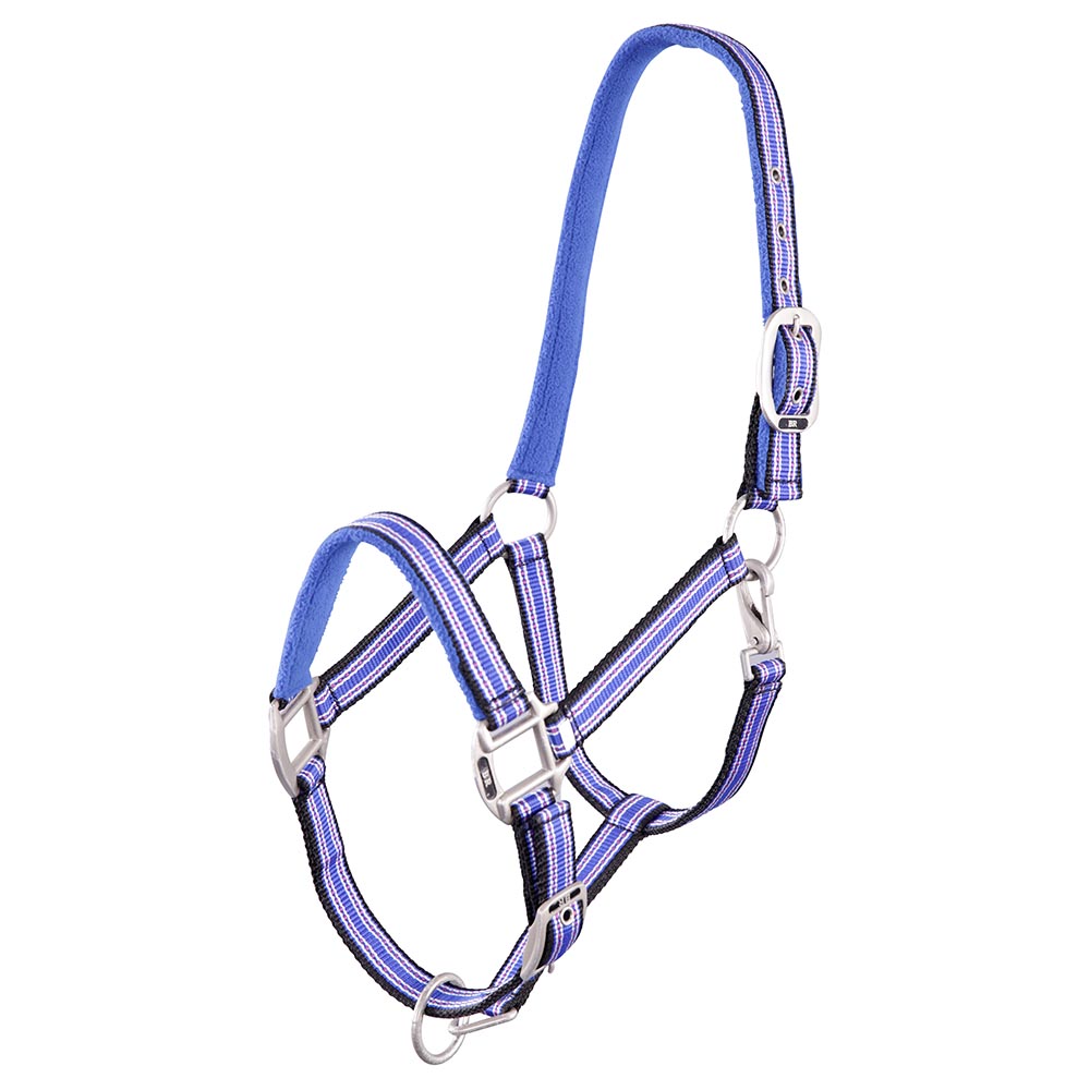 licol br passion bleu