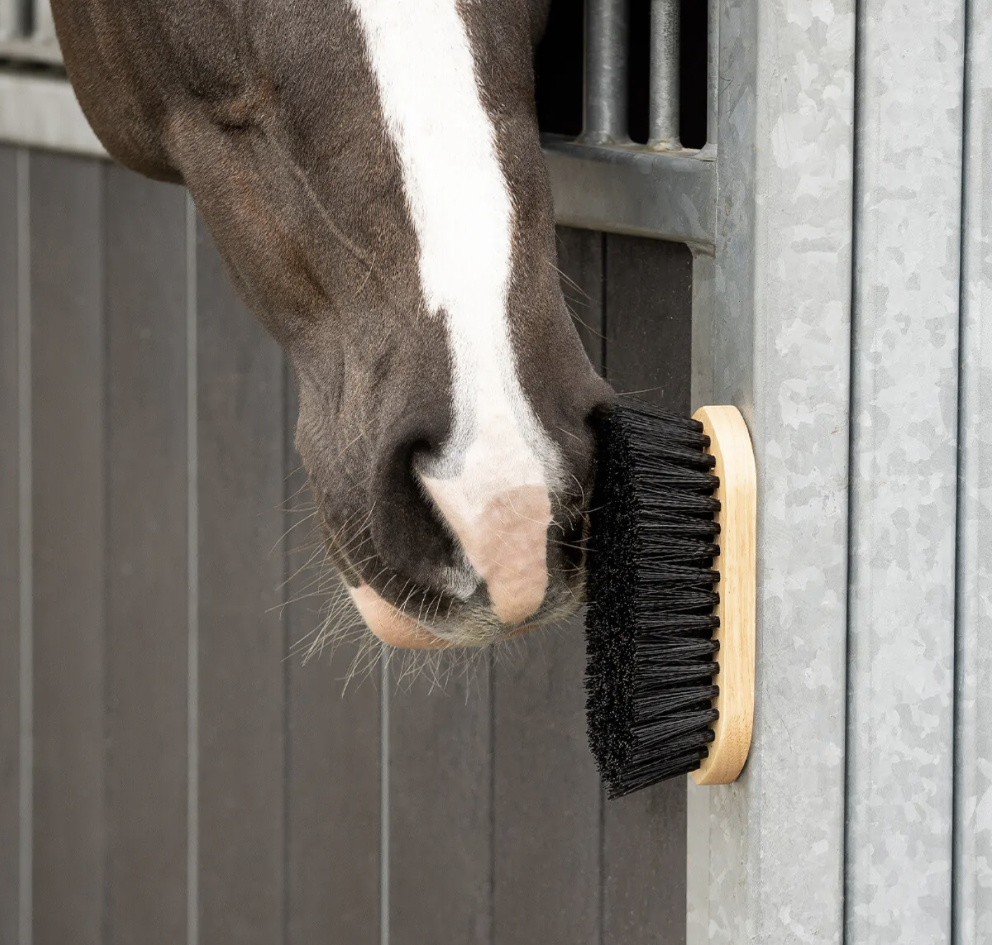 brosse-dure-aimant-qhp-3