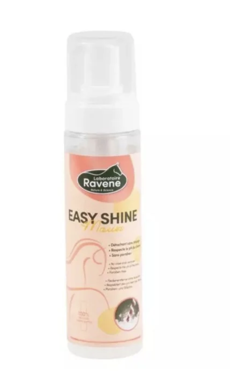 easy-shine-mouss