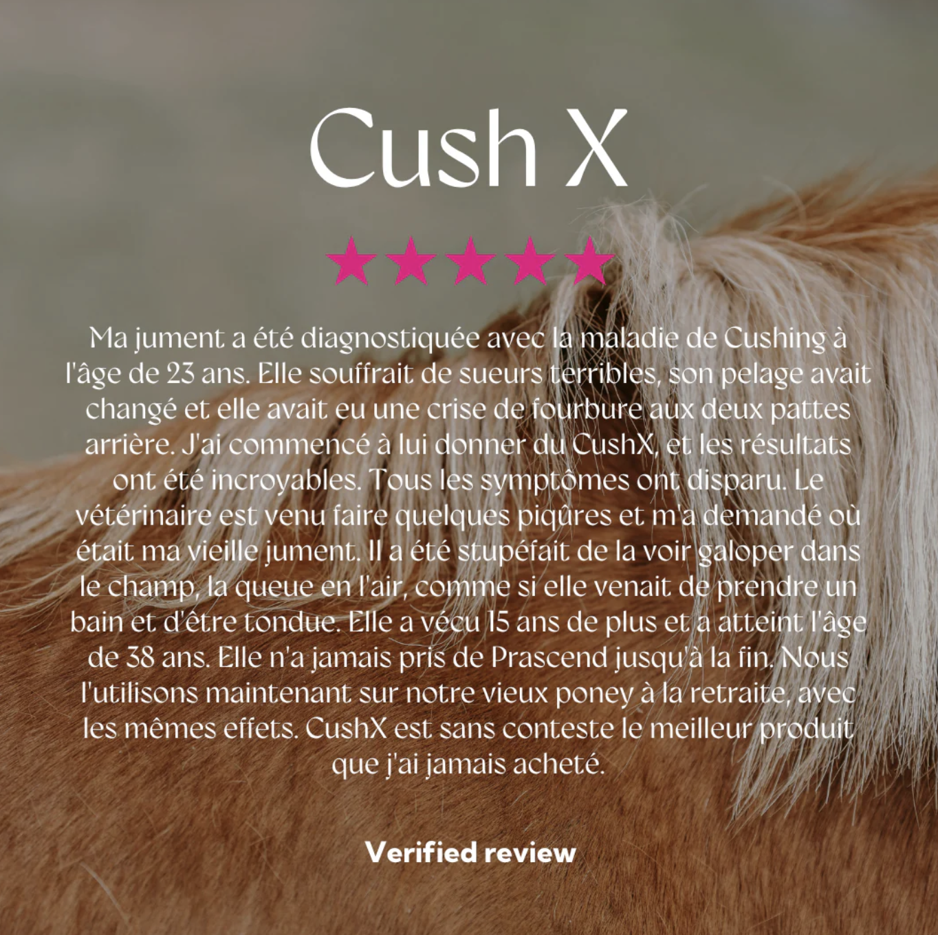 cush-x-gold-hilton-herbs-3
