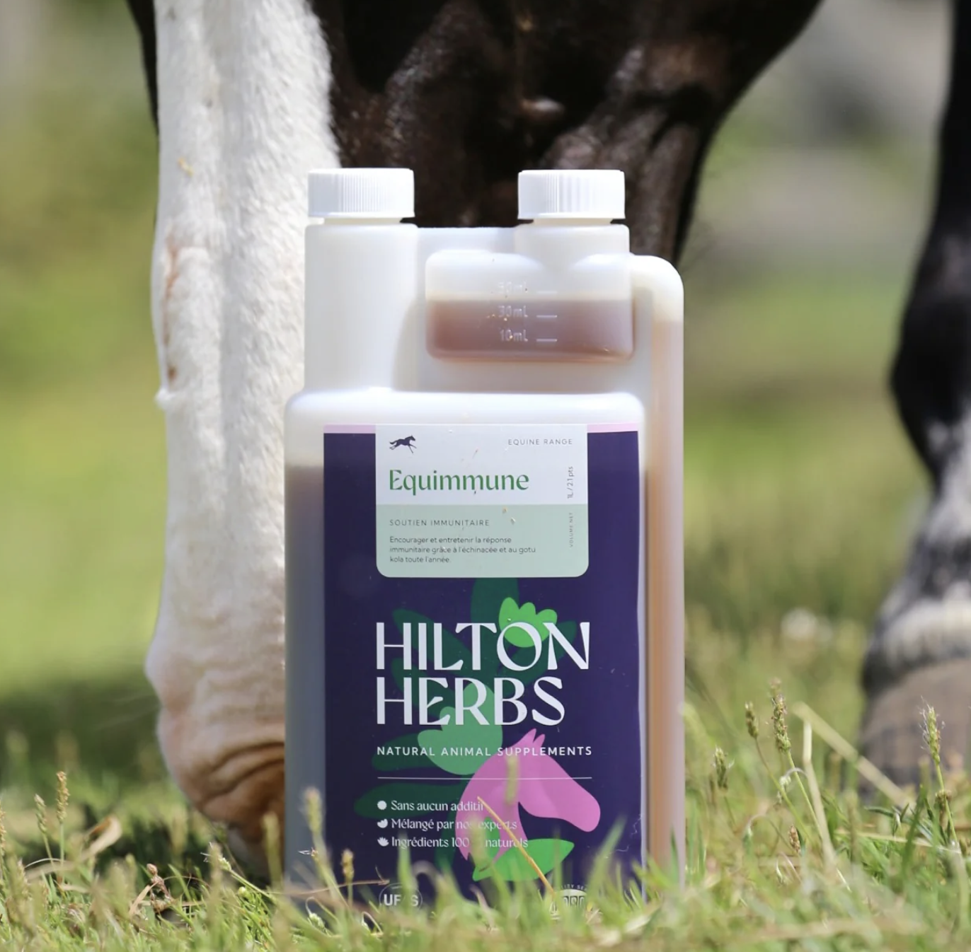 equimmune-liquide-hilton-hebrs-1