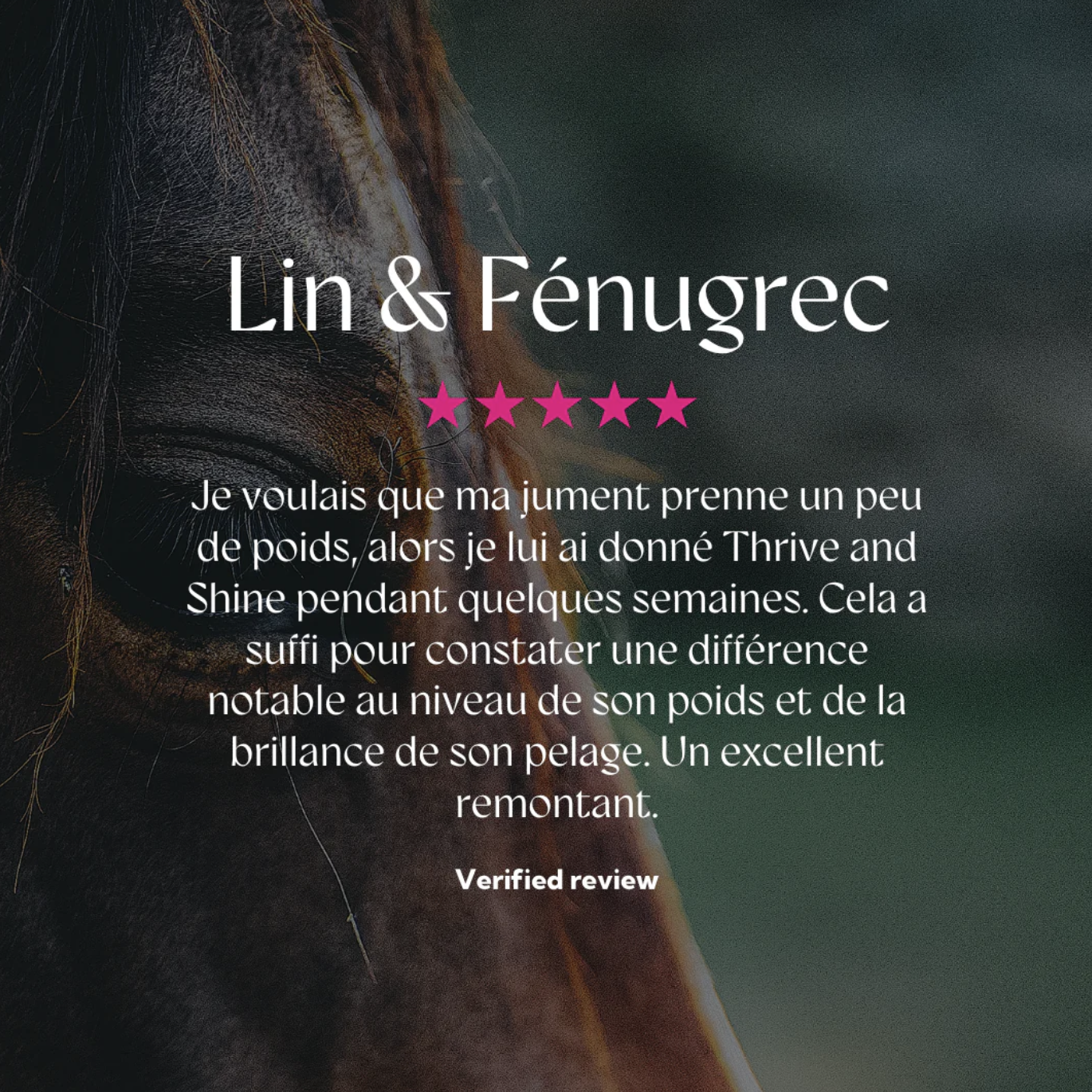 lin-et-fenugrec-hh-1