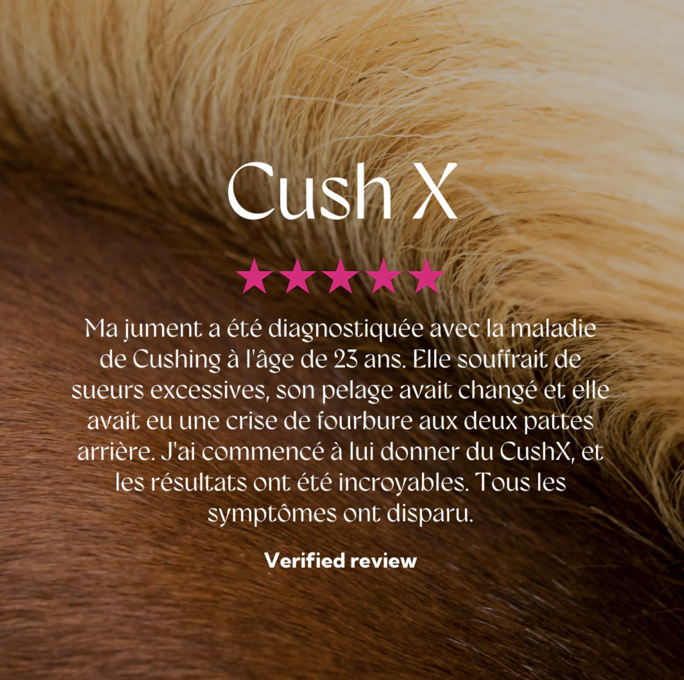 plantes-cush-x-hilton-herbs-4