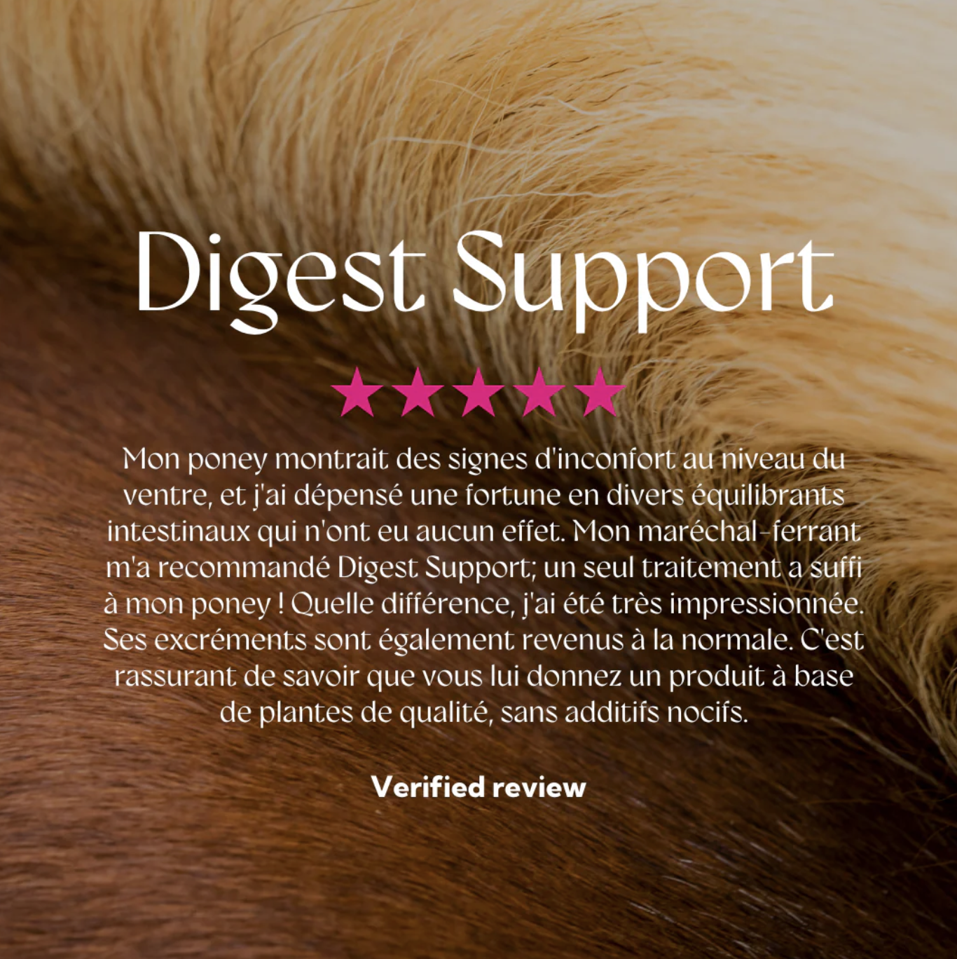 digest-support-complément-alimentaire-3