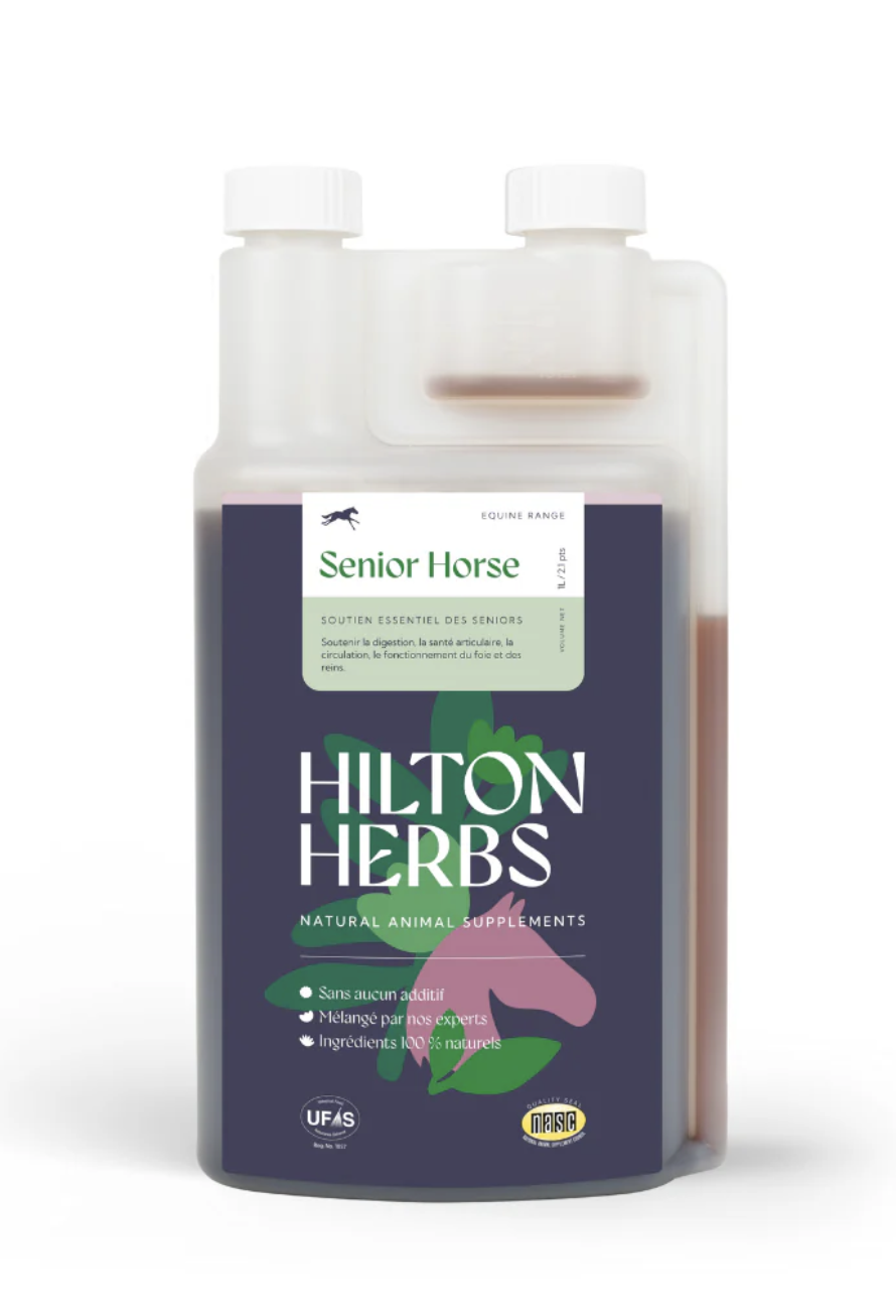 senior-horse-gold