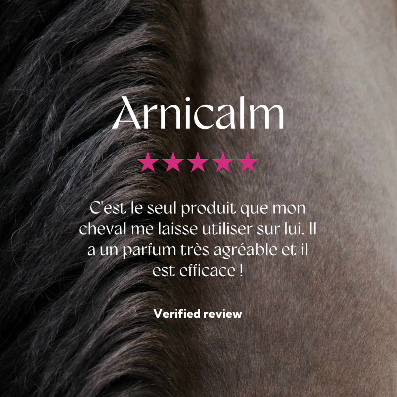 arnicalm-gel-arnica-4