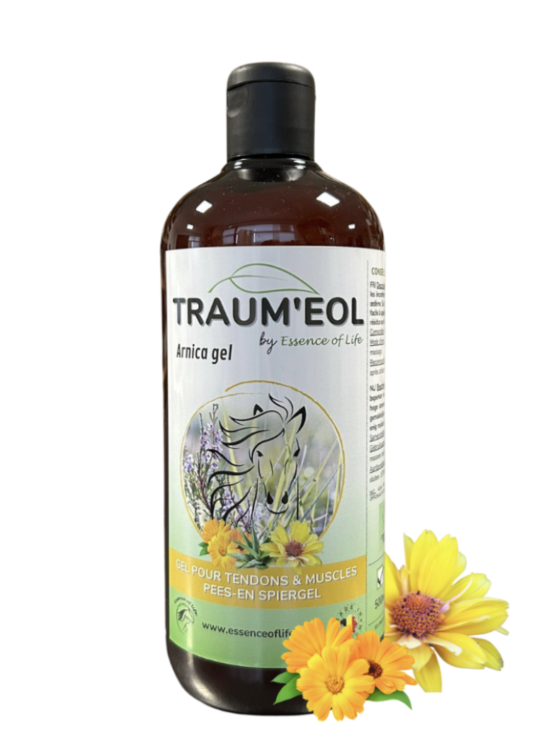traum-eol-arnica-gel