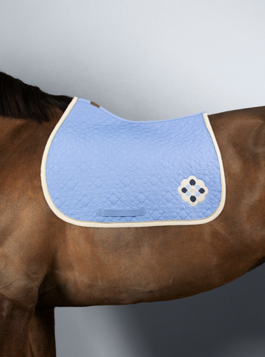 charles-tapis-de-selle-harcour