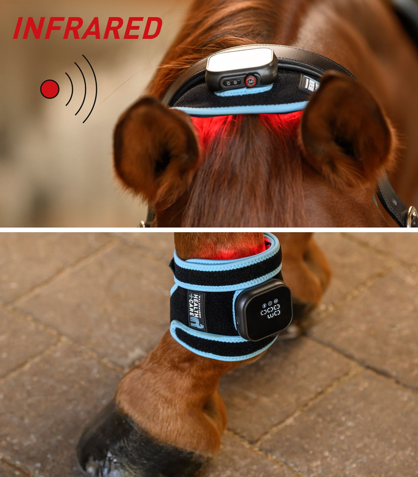 nuque-cervicale-cheval-vibrant-massage