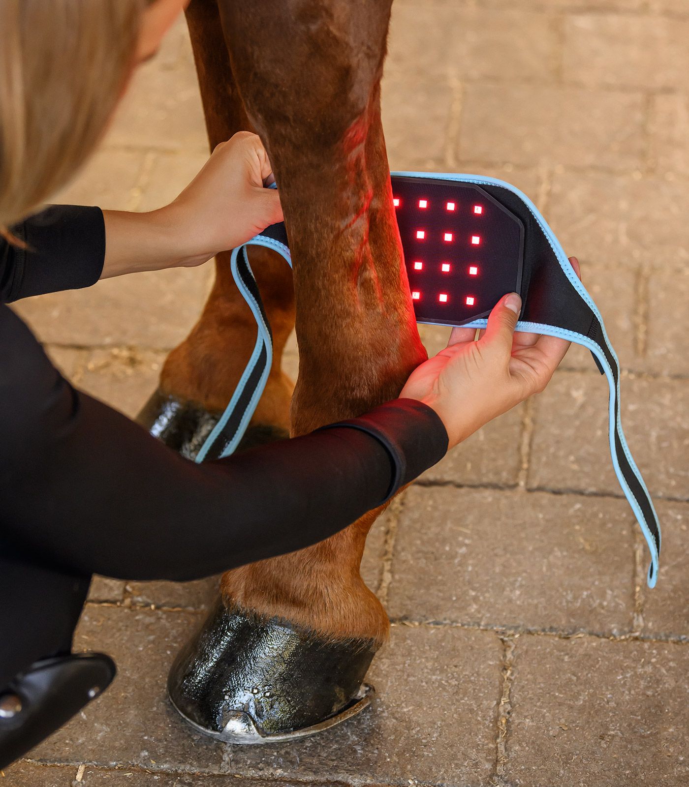 nuque-cervicale-cheval-vibrant-massage-1°