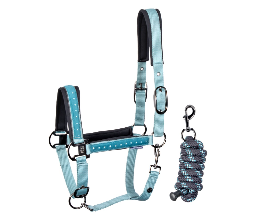 licol-et-longe-crystal-harry-horse-teal