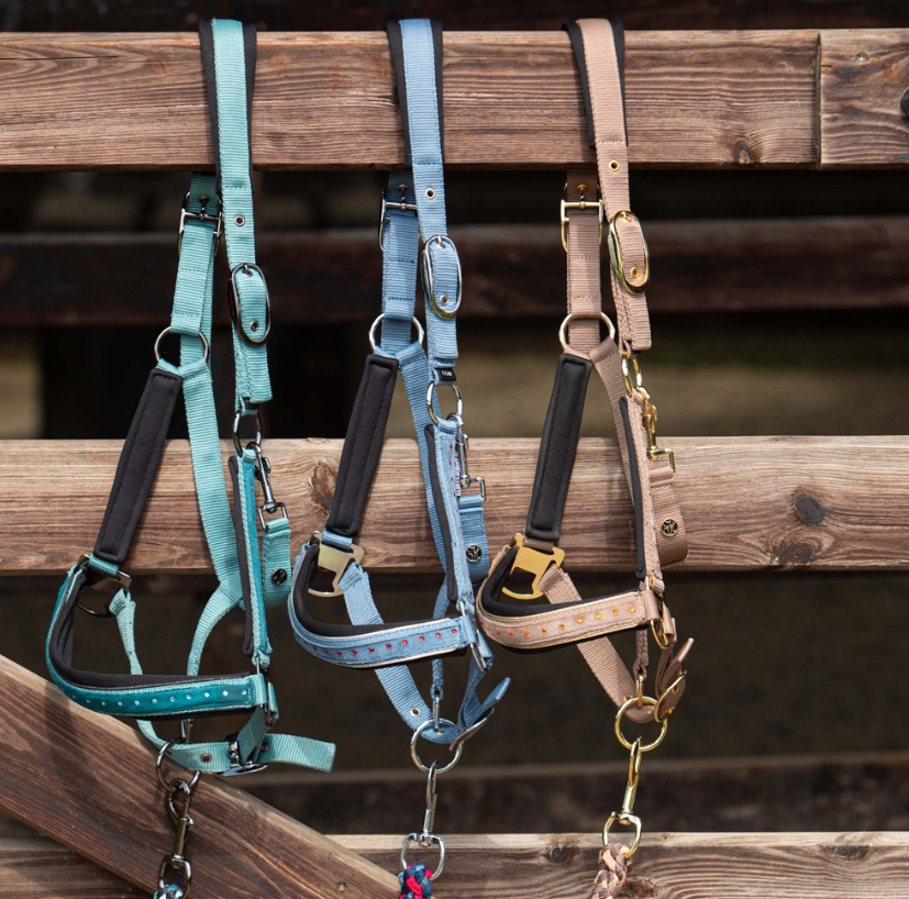 licol-et-longe-crystal-harry-horse-teal1