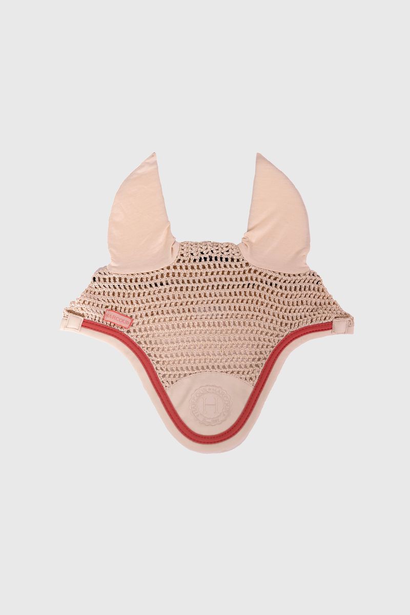 fredy-bonnet-harcour-coquillage