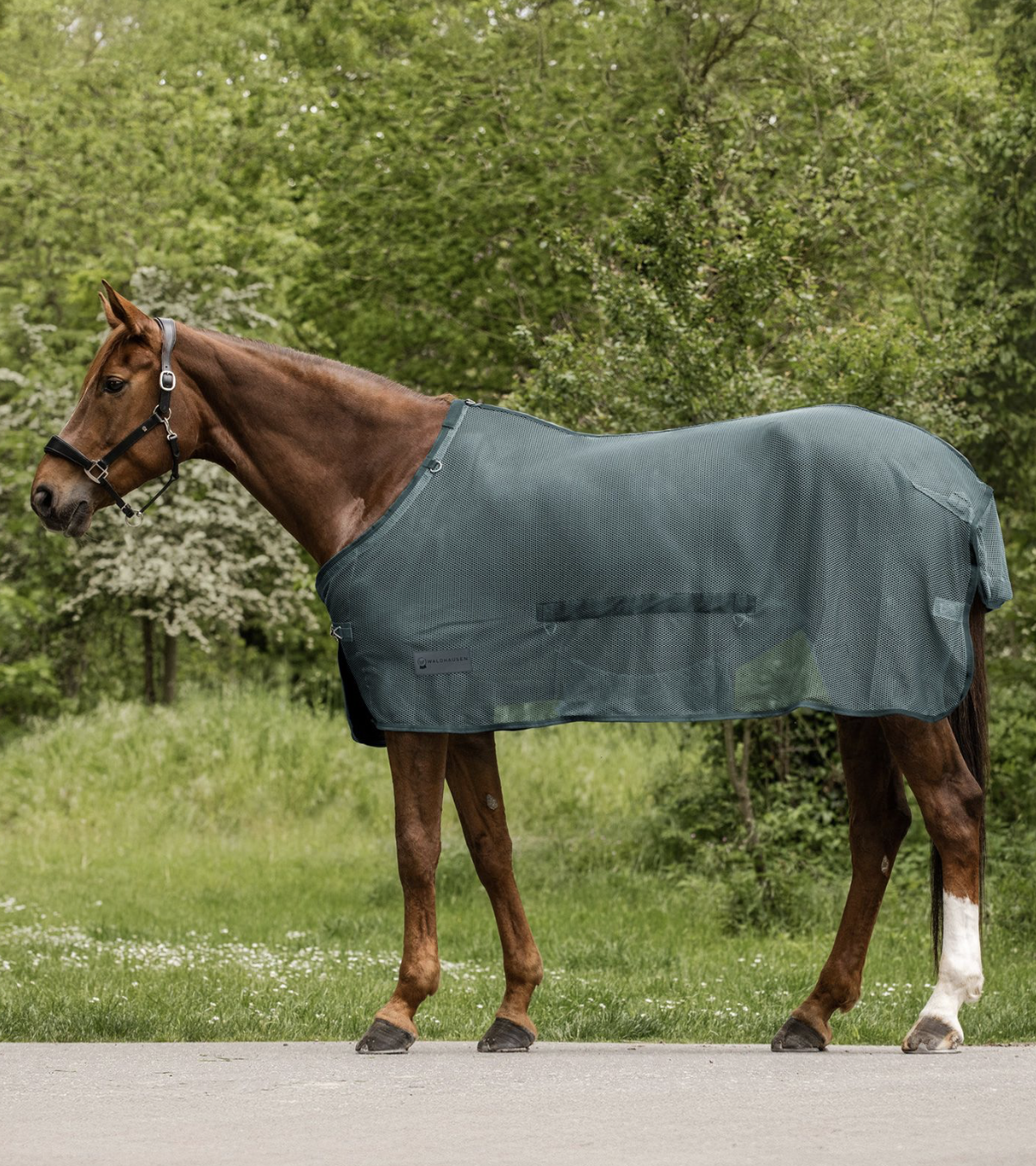 couverture-anti-mouches-waldhausen-insectes