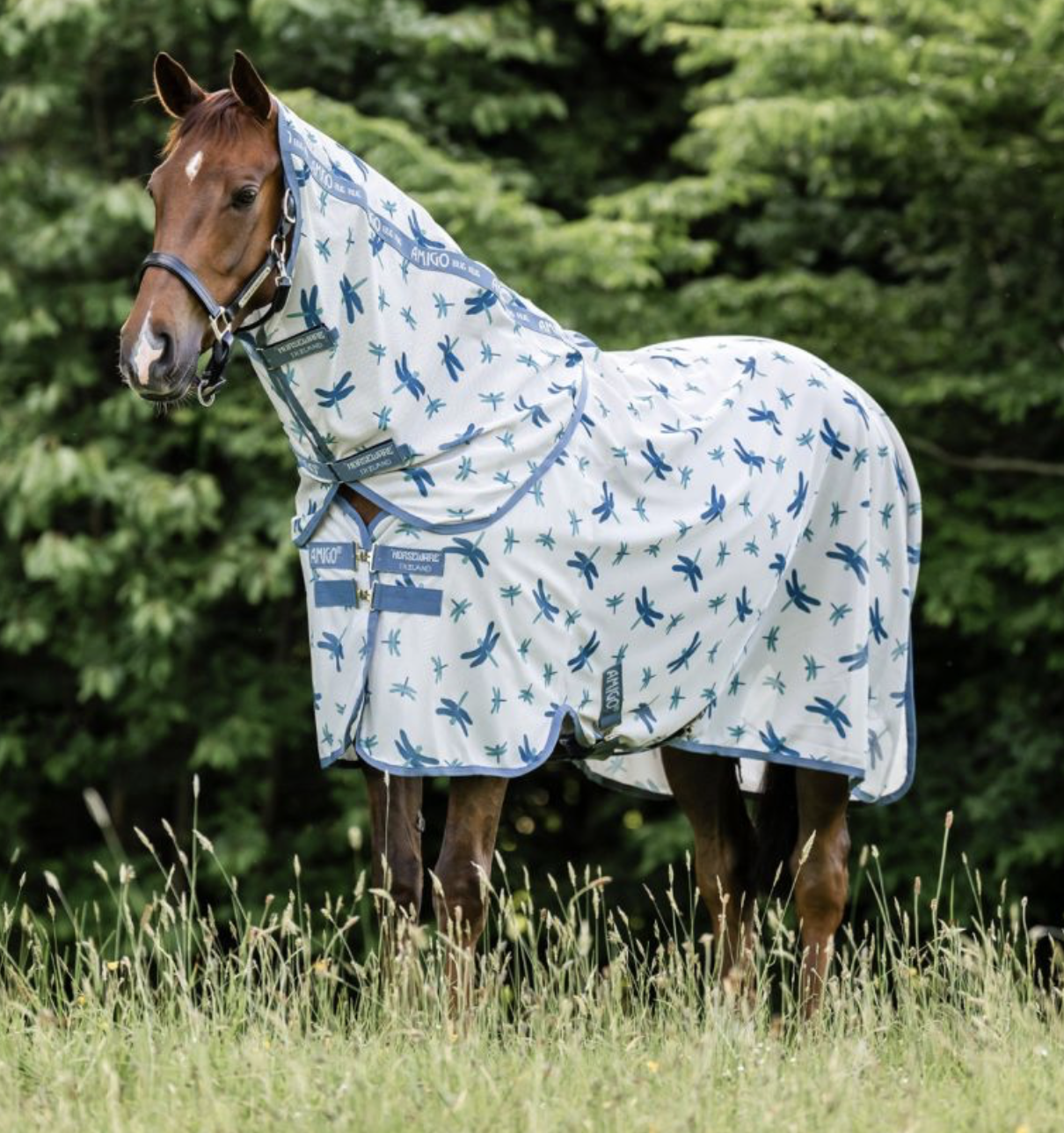 couverture-dragonfly-horseware-bugrug-2