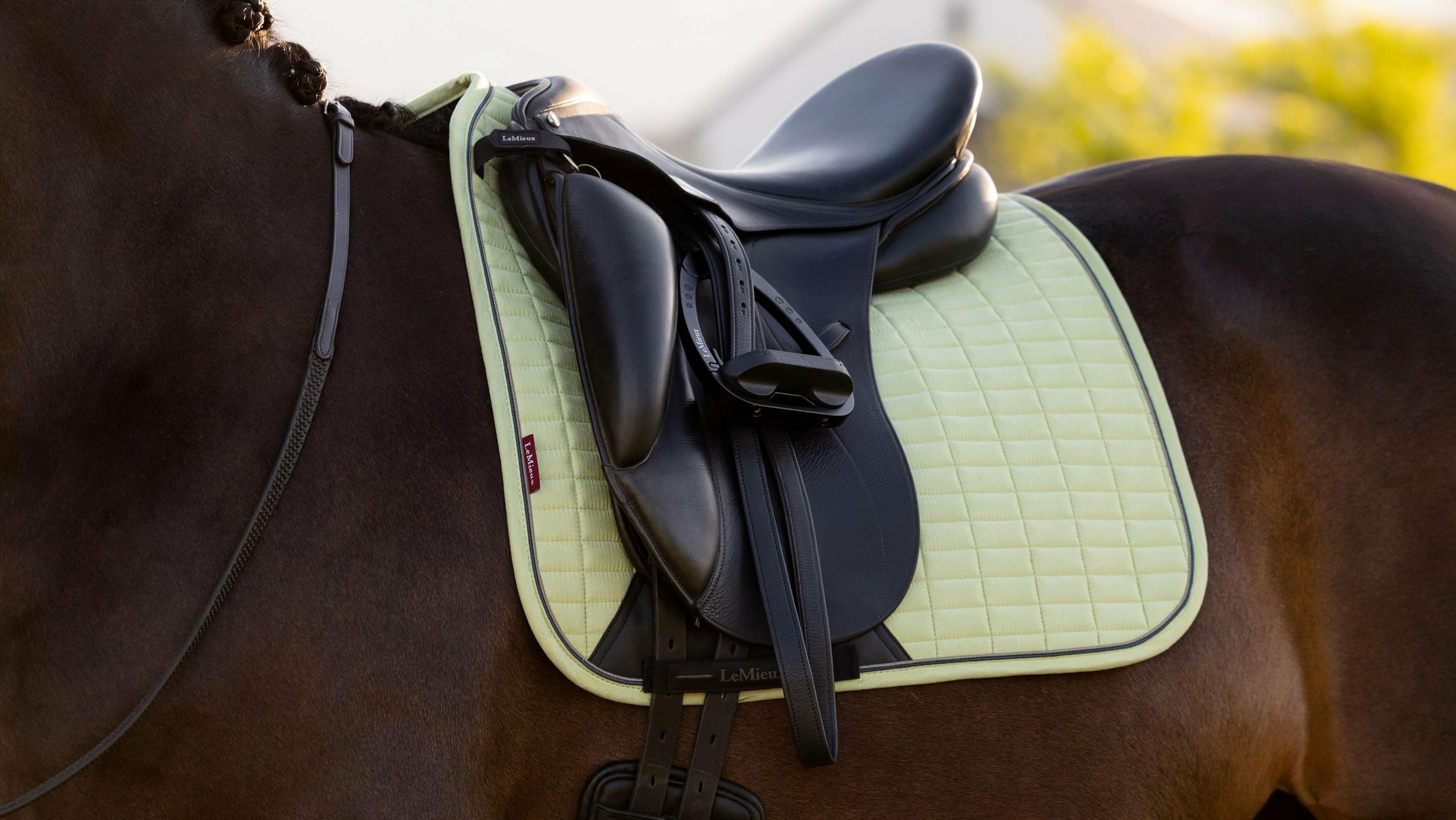 tapis-de-selle-lemieux-suede-dressage-macaron-vert-2