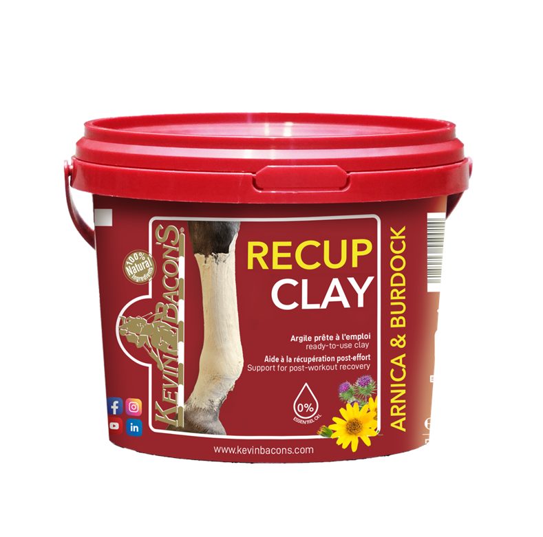 argile-kevin-bacon-recup-clay