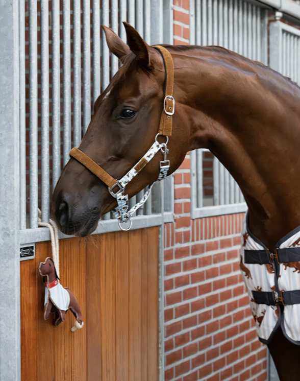 jouet-box-teckel-qhp