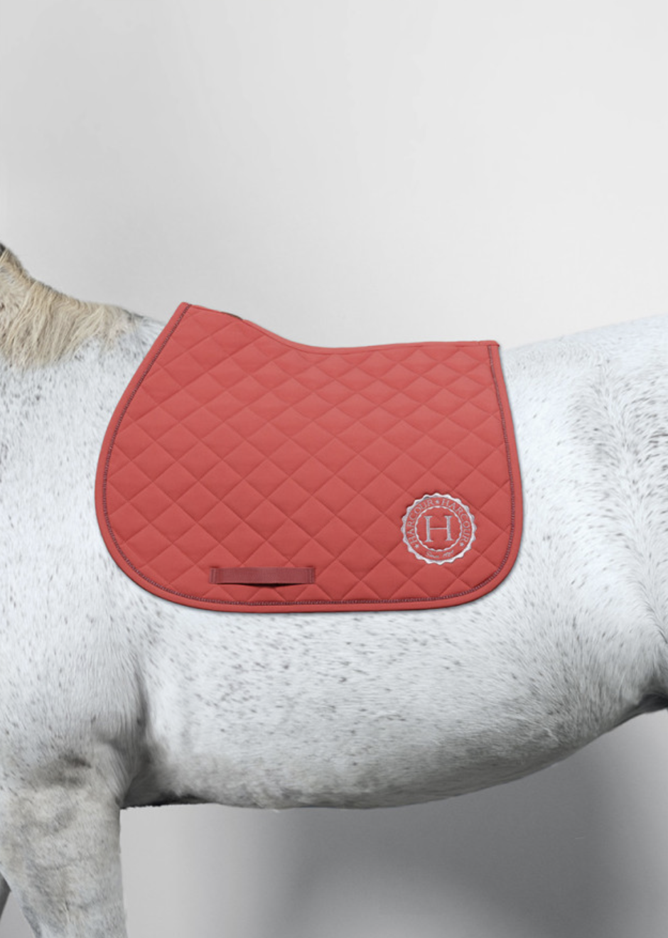 sun-tapis-harcour-pamplemousse