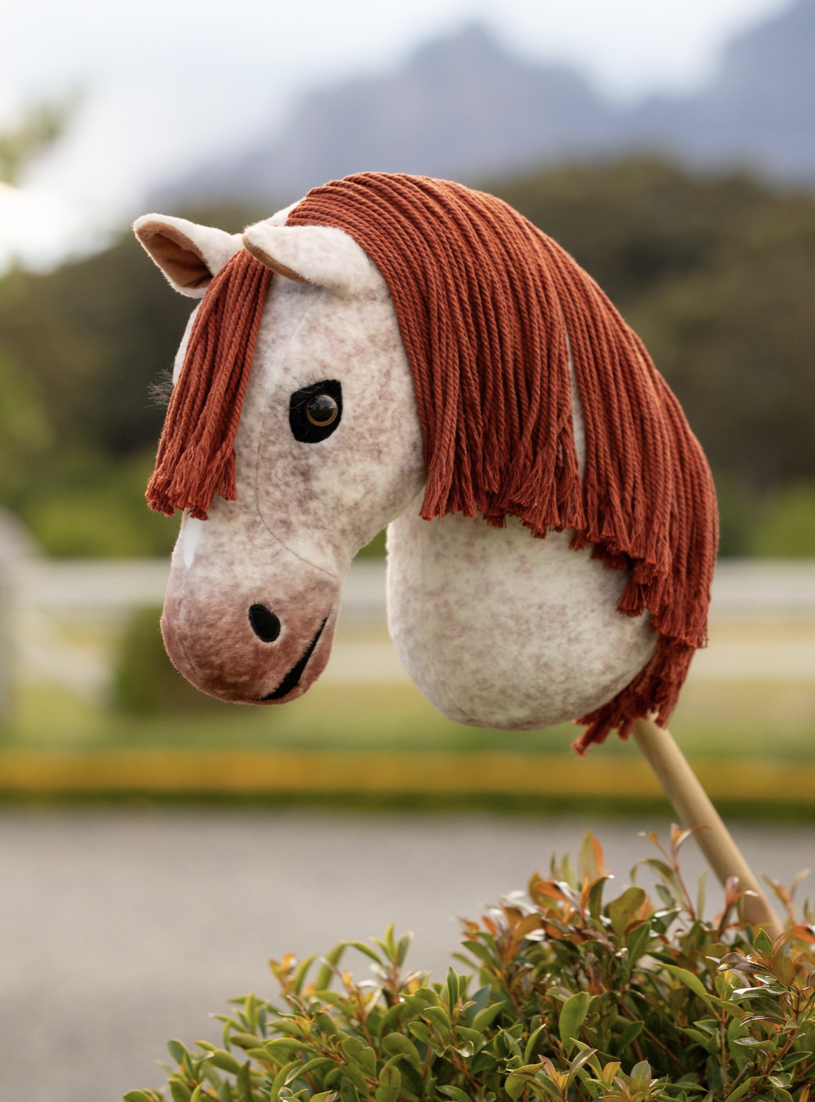hobby-horse-poppy-lemieux-1