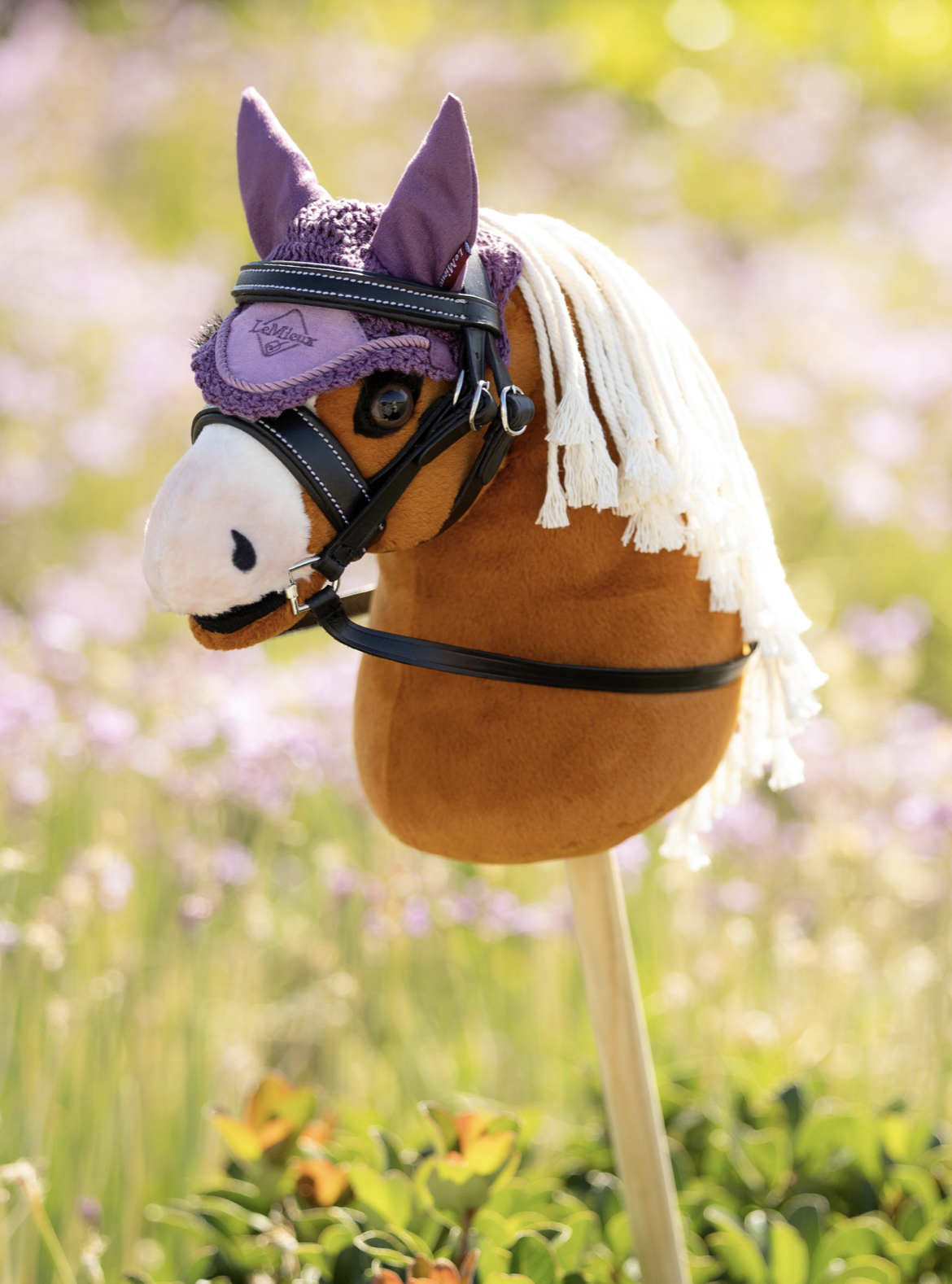 mini-hobby-horse-sundance-1