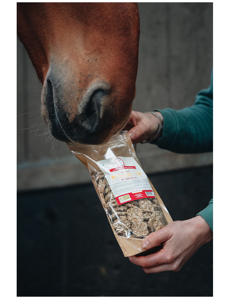 crackers-cheval-miel-thym-300-gr-1