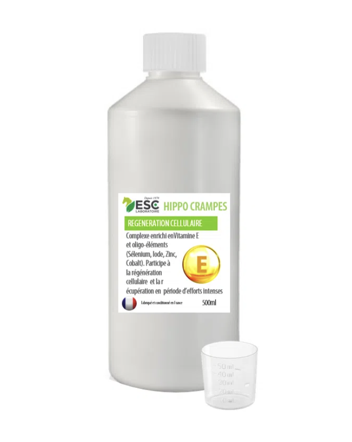 hippocrampes-esc-laboratoire