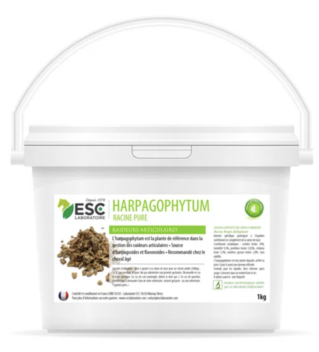 harpagophytum-esc-laboratoire