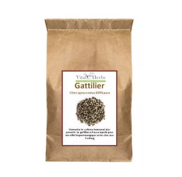 gattilier-vital-herbs-juments-chaleurs