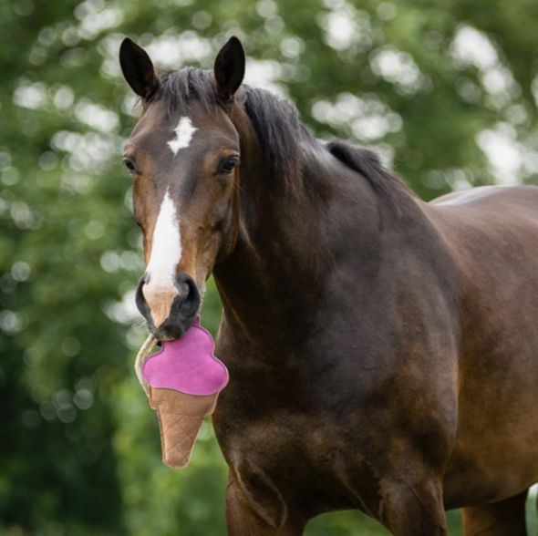 jouet-ecurie-glace-1