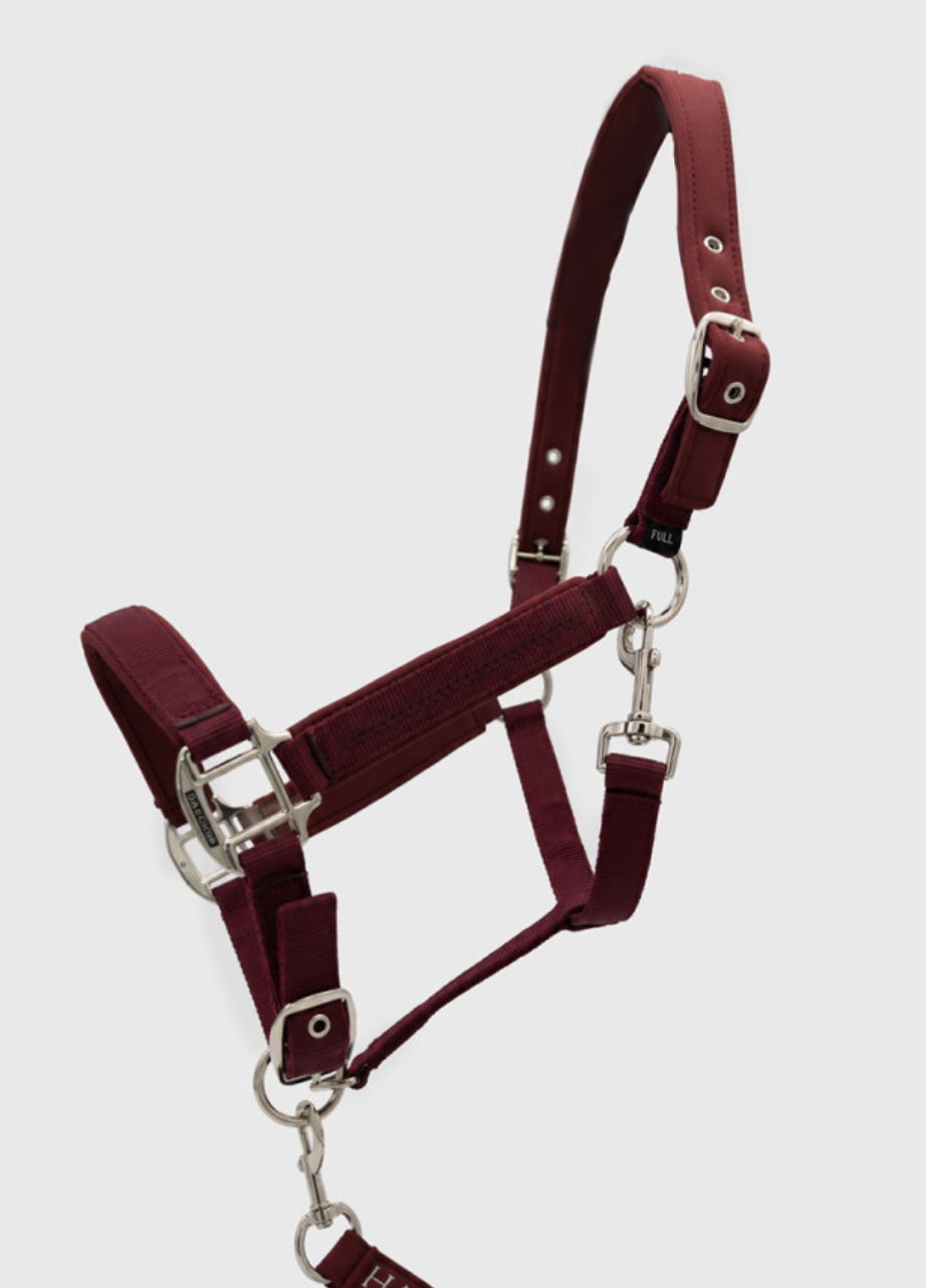 cinsy-licol-longe-harcour-1