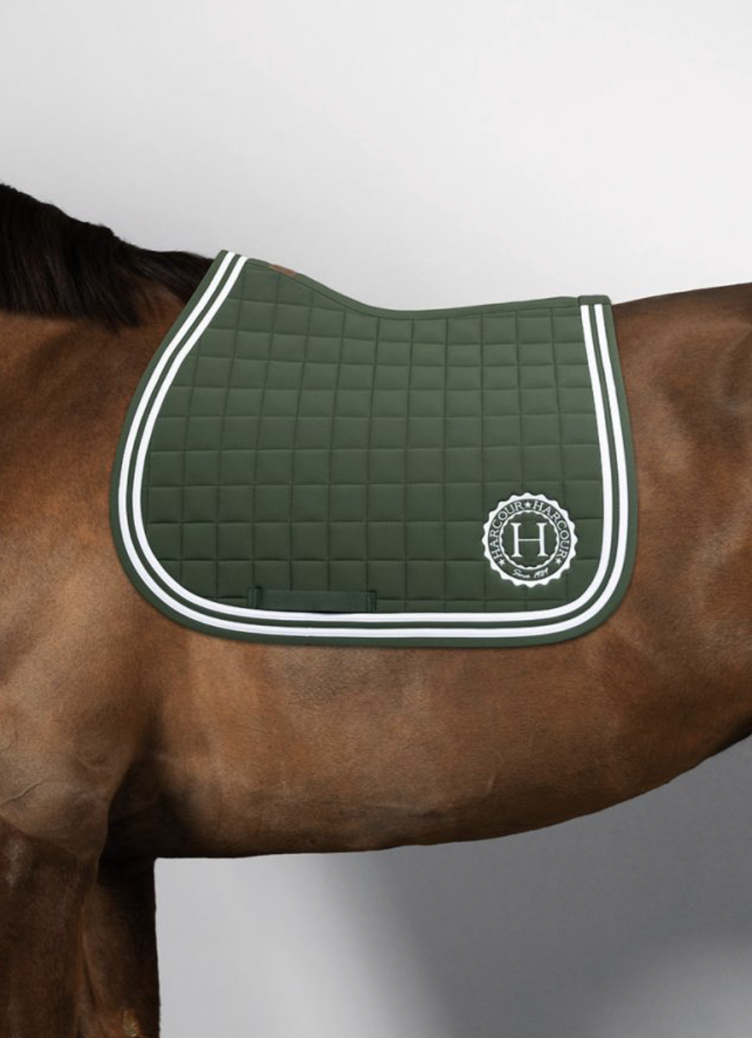 trefle-harcour-tapis-de-selle