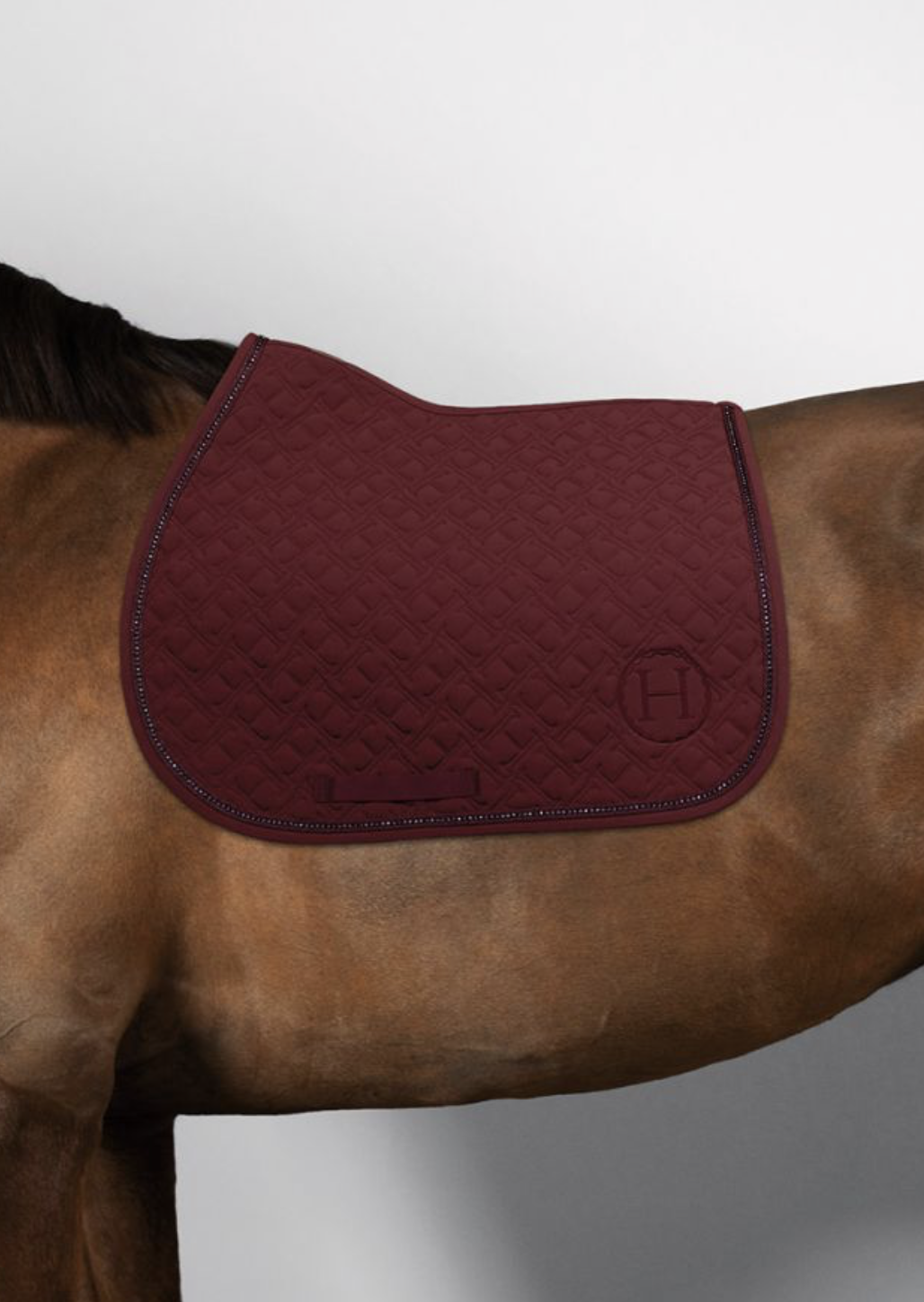 tapis-de-selle-harcour-vigne-saphir
