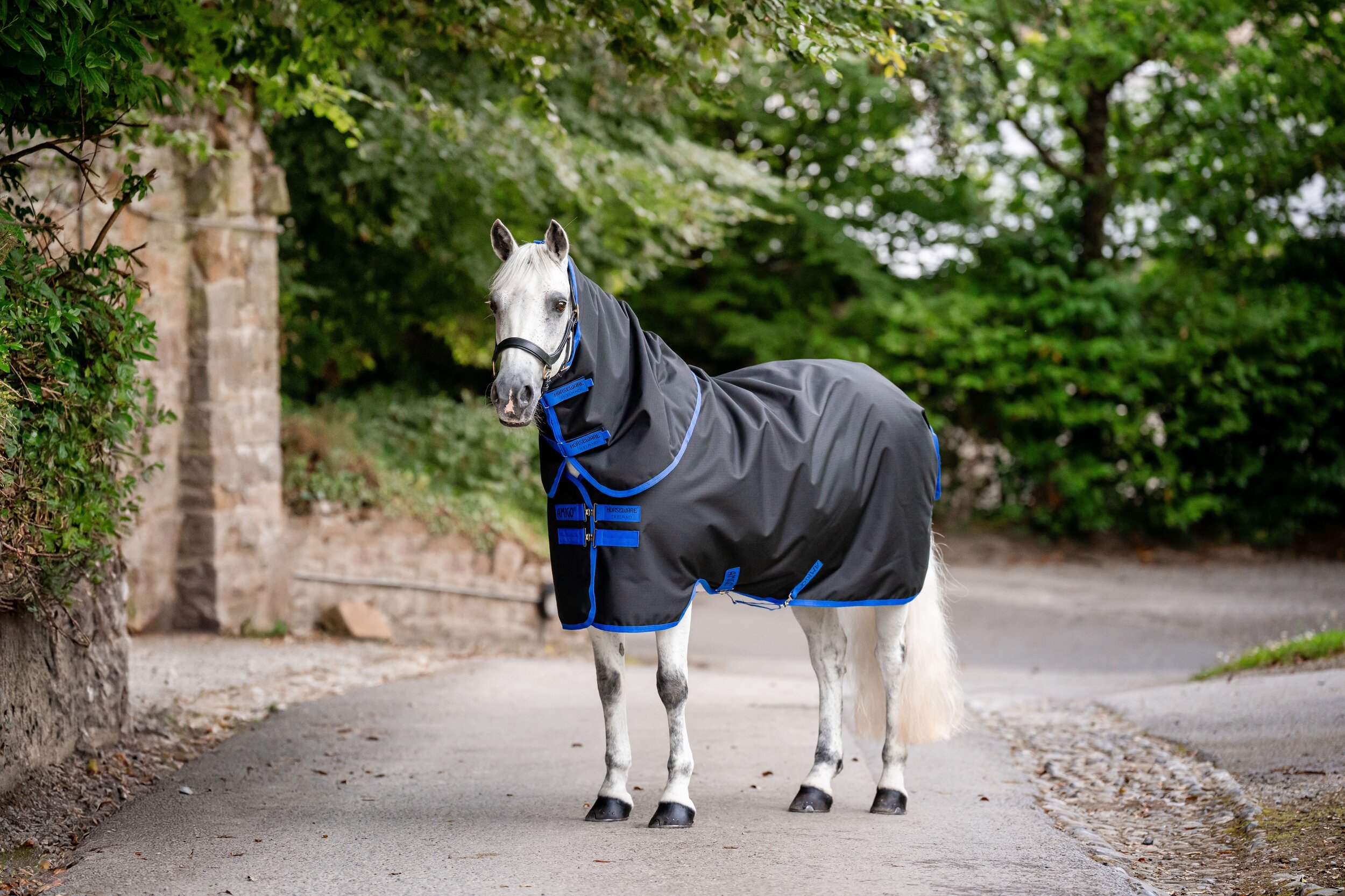 amigo-ripstop-900D-plus-pony-couverture-imperméable-horseware-poney (6)