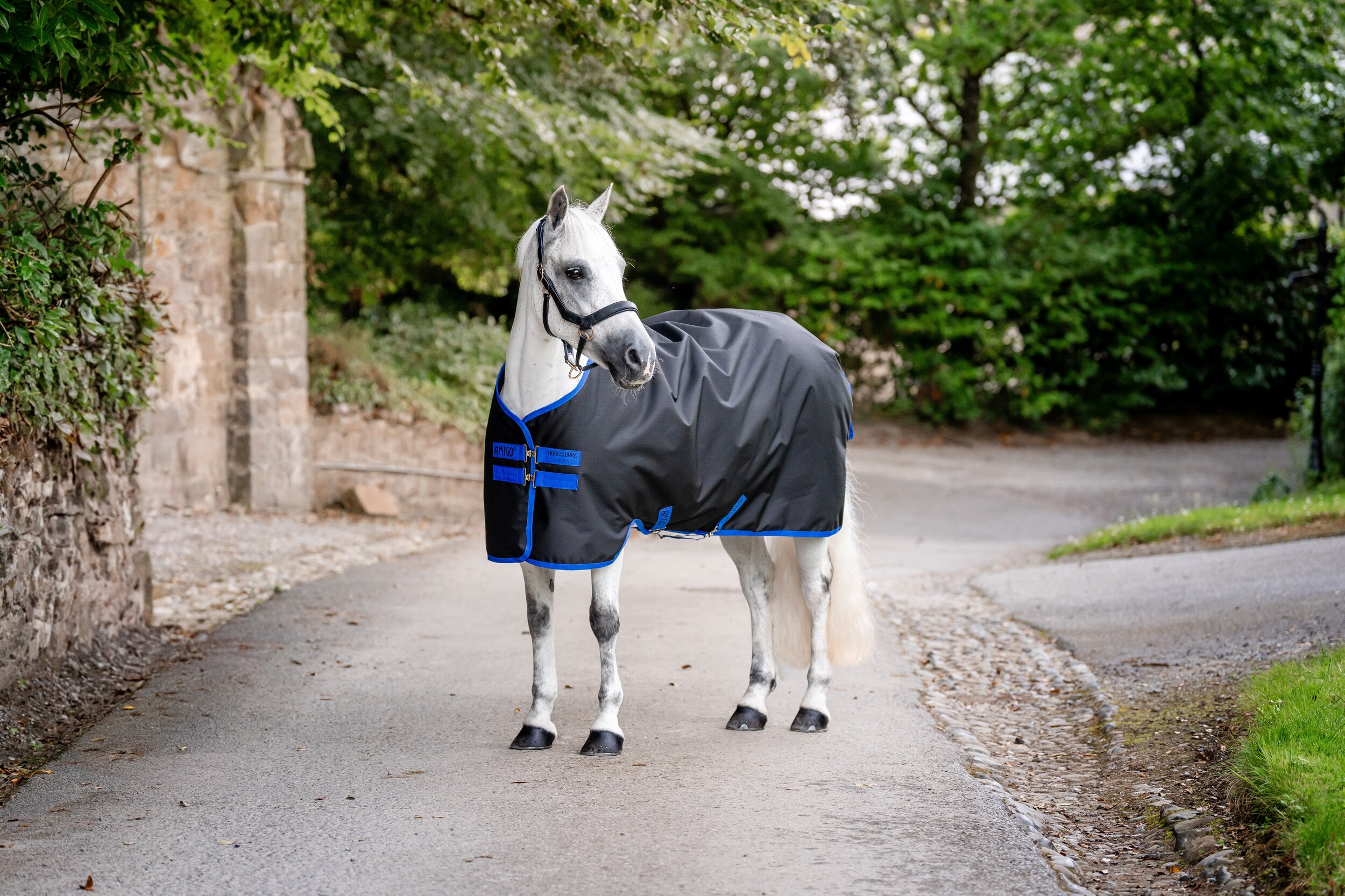 amigo-ripstop-900D-plus-pony-couverture-imperméable-horseware-poney (4)