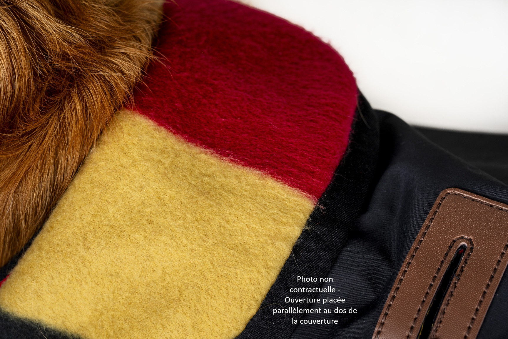 couverture-chien-horseware-newmarket-noir-imper (6)