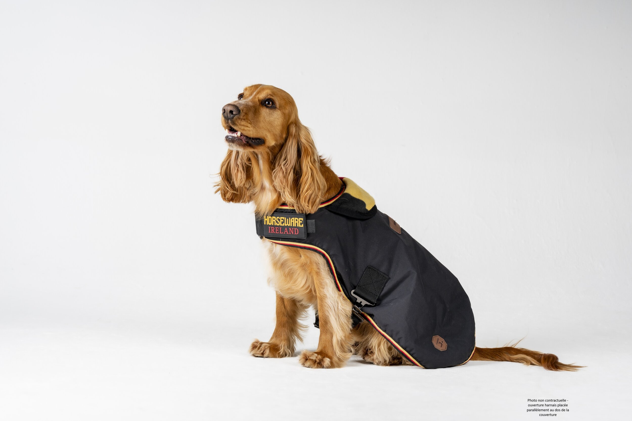 couverture-chien-horseware-newmarket-noir-imper (2)