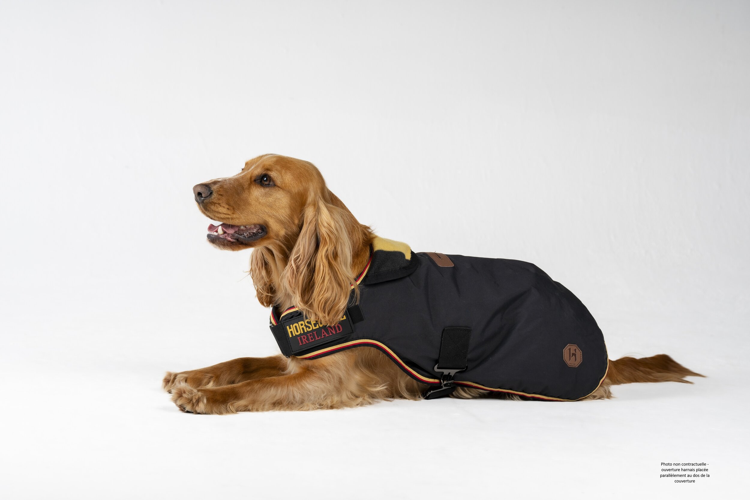 couverture-chien-horseware-newmarket-noir-imper (3)