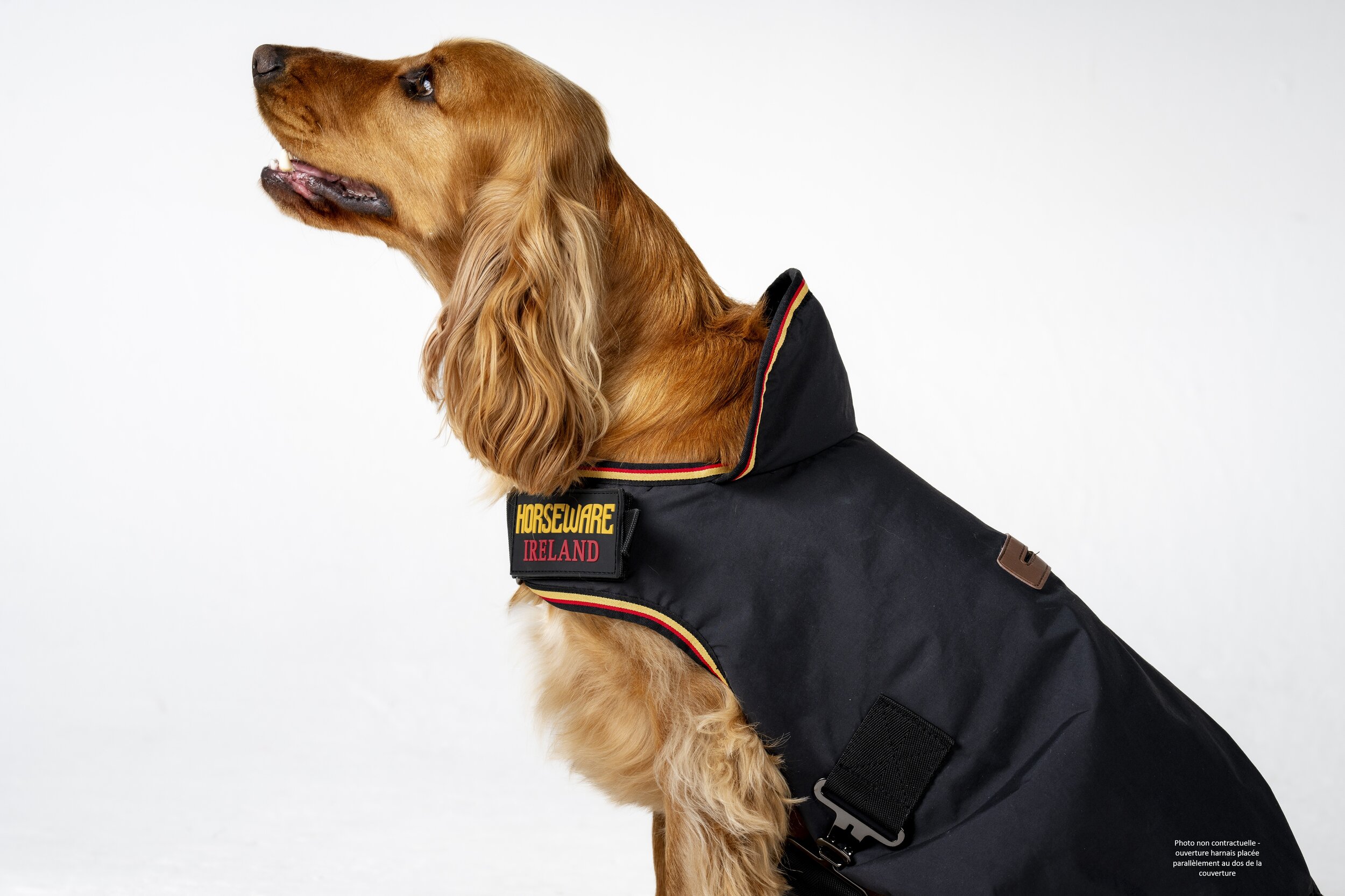 couverture-chien-horseware-newmarket-noir-imper (4)