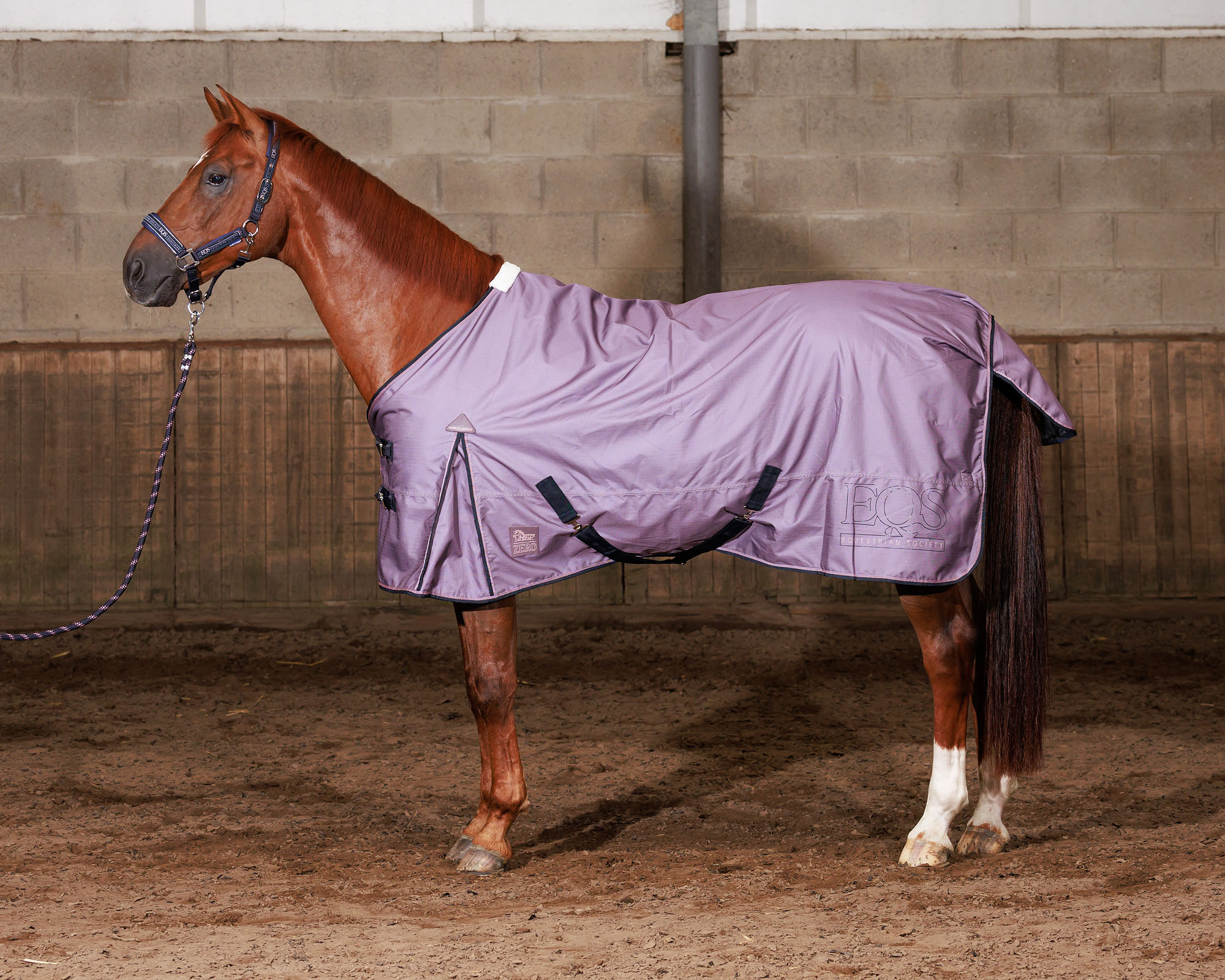 couverture-impermeable-harry's horse-thor-0gr-fleece-mauve