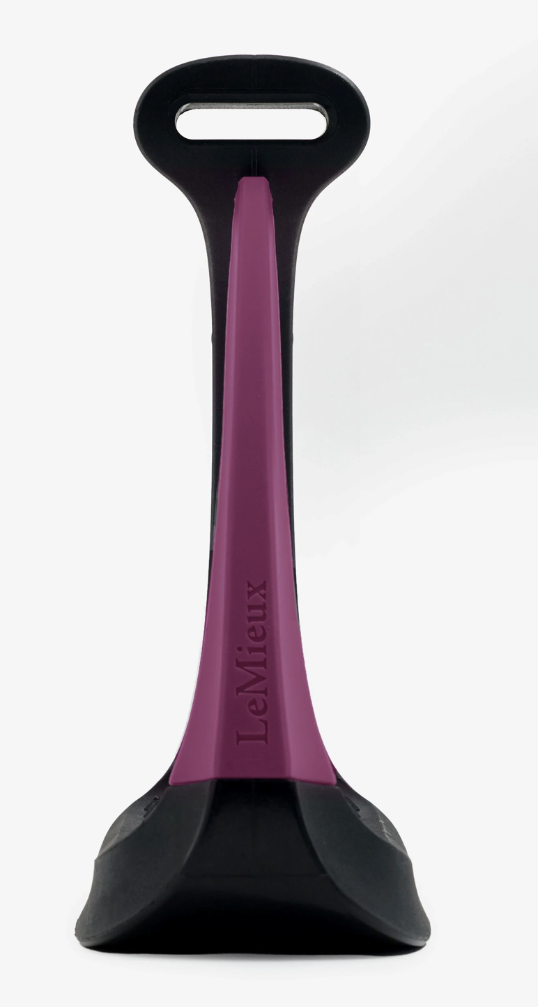 branche-vectorlfex-blackberry-étrier-lemieux-securite-3