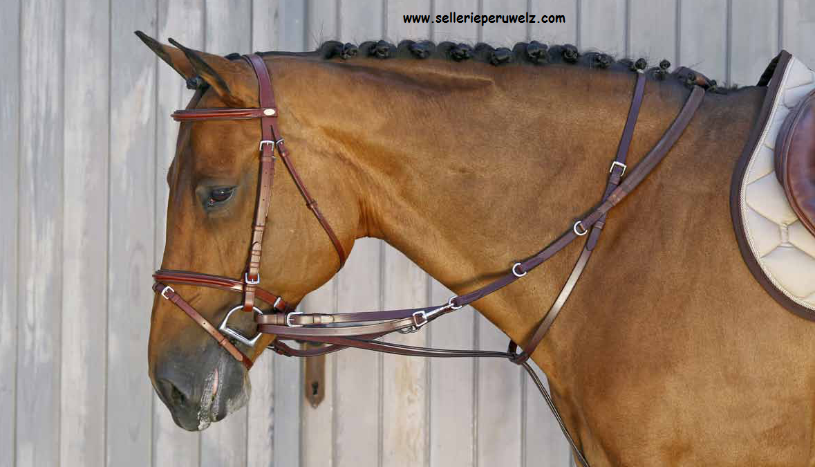 Enrênement de longe type Pessoa - Cheval/Enrênements, travail à la longe  - sellerie-de-peruwelz