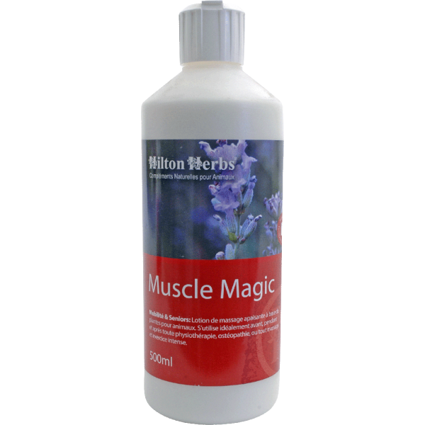 muscle-magic-hilton-herbs-lotion-massage