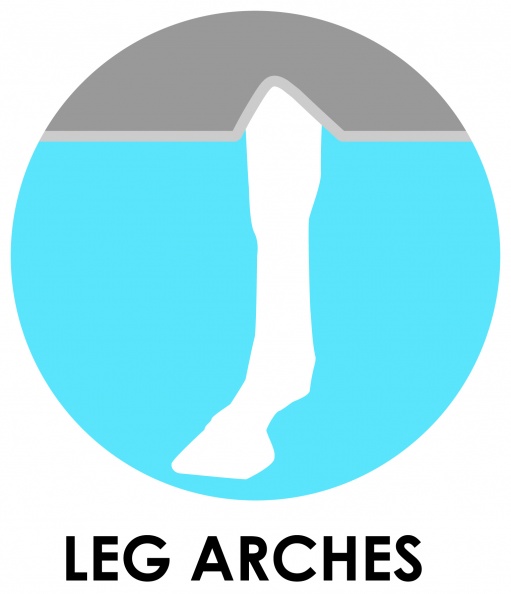 leg arches
