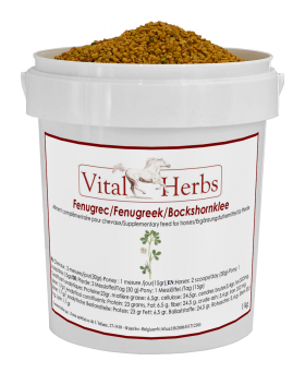 fenugrec vital herbs