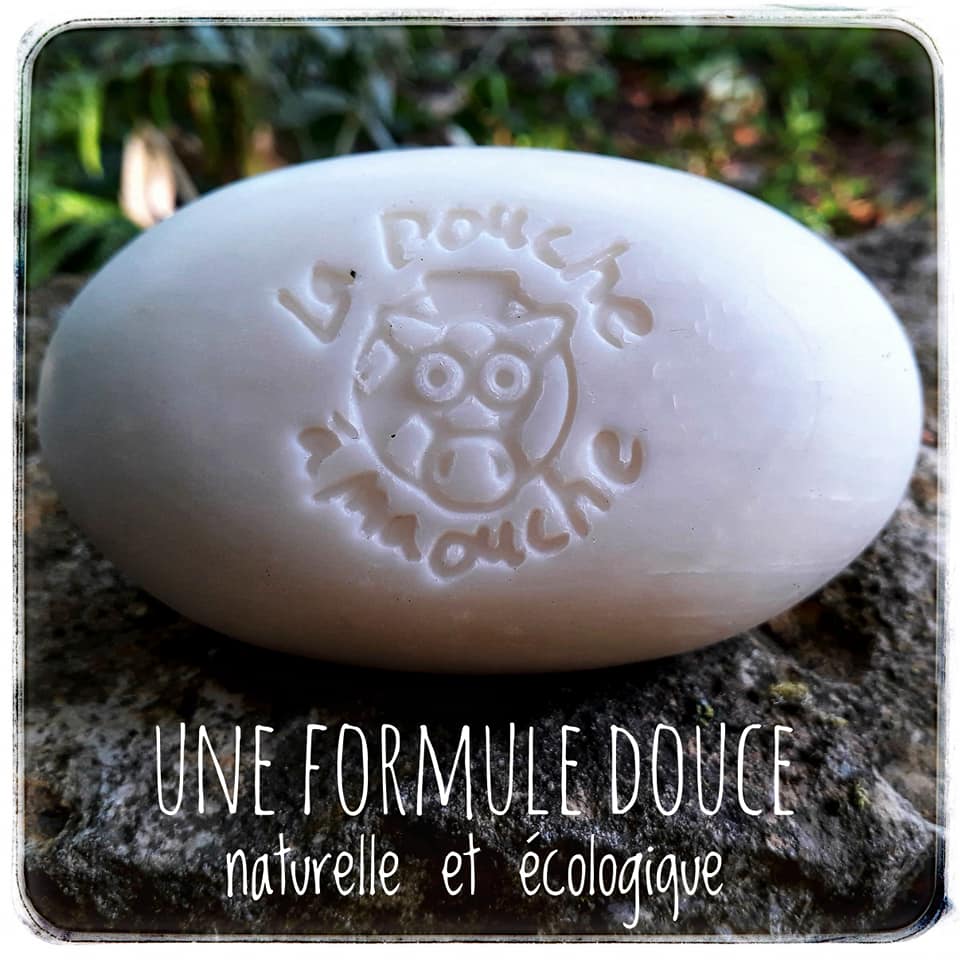 shamoing-solide-chevaux-la-douche-a-maouche