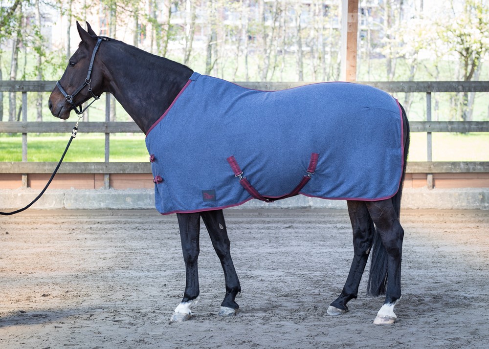 couverture polaire melange harrys horse hiver 2019 bleu bordeaux 32205700_blueberry