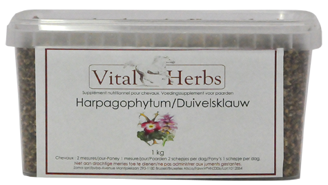 harpagophytum pur vital herbs